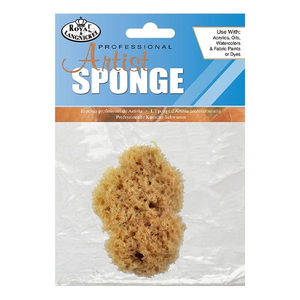 Sea Sponge 2"