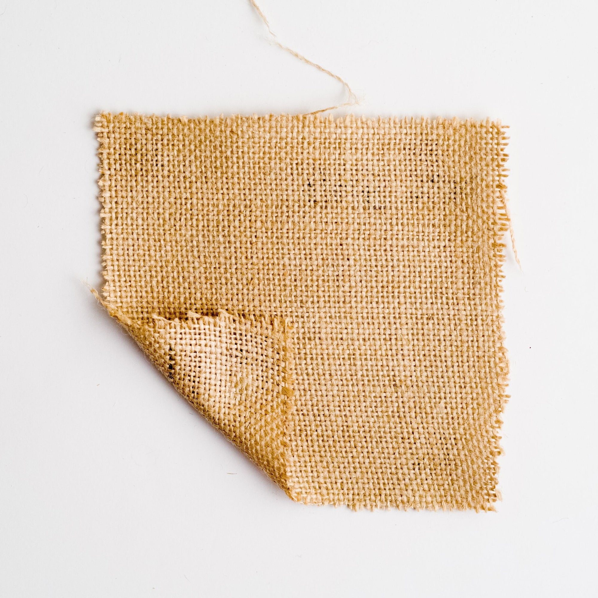 Belle Arti | 545 Jute Loomstate Canvas