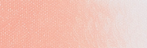 ARA Acrylic Paint 500ml