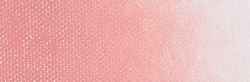 ARA Acrylic Paint 500ml