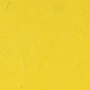 Gamblin | Artist Oils 150ml