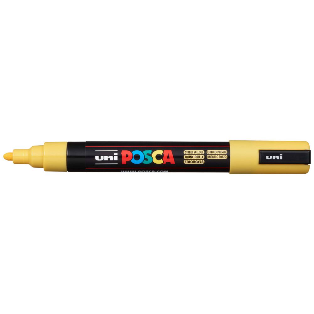 POSCA Medium PC5M