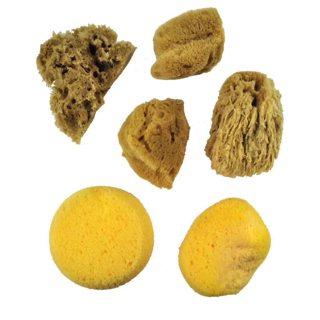 Royal Langnickel | 6pc Watercolour Sponge Set
