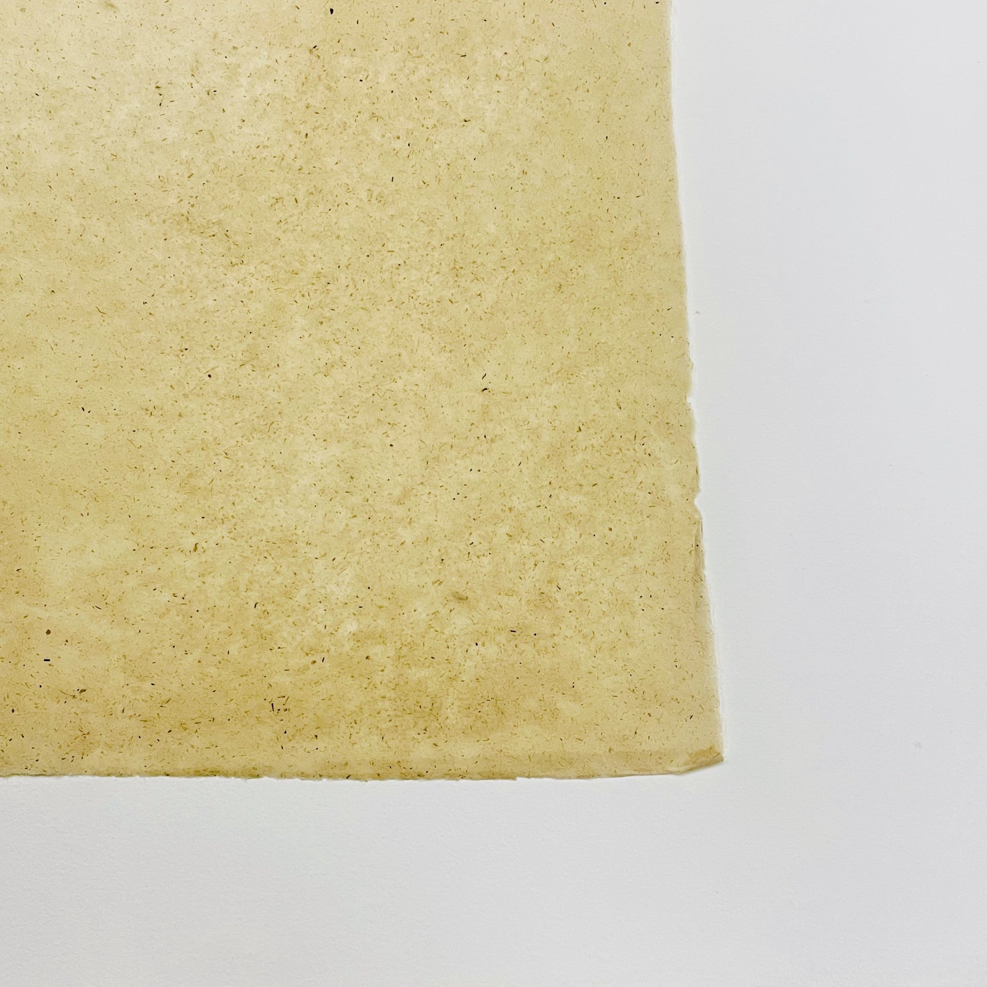 Olino Banana Tissue Paper 8grs Ivory